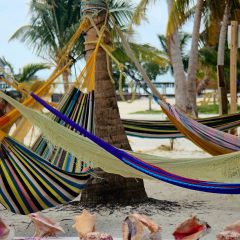 Belize Travel Tips: A Guide to Exploring the Best of Belize