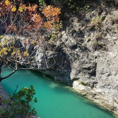 Exploring Europe’s Last Wild River: The Vjosa National Park in Albania
