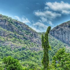 Benin Travel Tips: A Guide to Experiencing the Best of West Africa