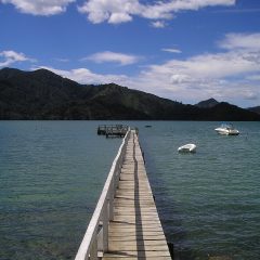 Sail into the Wild: Exploring the Remote Beauty of Haida Gwaii on a Brand-New Sailing Voyage