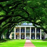 Discovering Lafayette, Louisiana: The Second City to New Orleans with First-Rate Cajun Culture