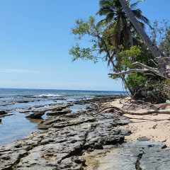 Wallis and Futuna Islands Travel Tips: Your Guide to This French Overseas Territory