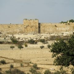 Israel Travel Tips: Discovering the Best of the Holy Land