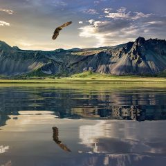 Unleash Your Wanderlust: A Comprehensive Guide to Maximizing Your Motorhome Adventure in New Zealand
