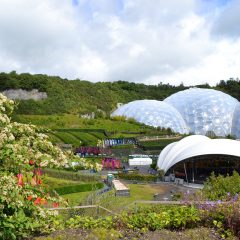 Cornwall Culinary Delights: Embark on a Gastronomic Adventure in the Foodie Paradise