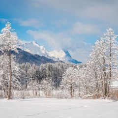 Unleashing the Full Potential of Your New Zealand Motorhome Adventure: A Guide to Optimal Enjoyment