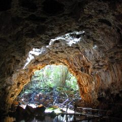 Australia’s Candy-Colored Wonder: The Mesmerizing Pink Caves