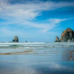 Unveiling the Coastal Charm: Immersing Yourself in the Southern Oregon Coast Experience