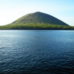 Navigating Nature’s Laboratory: The Galapagos Islands and Their Deep-Rooted Chronicles