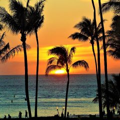 Maui Unveiled: A Tropical Paradise Beckons in Hawaii’s Heart