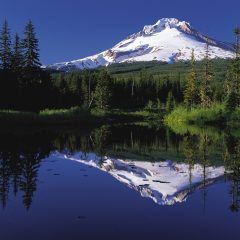 Oregon’s Hidden Coastal Gem: Exploring the Southern Shores