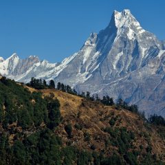 Lachen Unleashed: A Journey through Sikkim’s Hidden Jewel