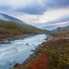 Norway’s Summer Delights: A 7-Day Express Guide to Maximize Your Nordic Adventure