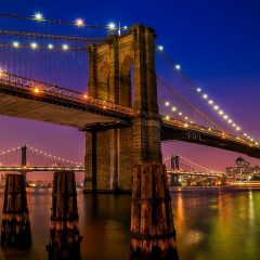 The 15 Best Things to Do in New York City in the Winter