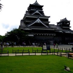 Navigating Nippon: Essential Travel Insights for Your Japanese Adventure