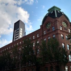 Culinary Delights in Queens, New York: A Gastronomic Journey