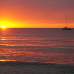 Jamaican Thrills: From Treetop Heights to Sapphire Waters
