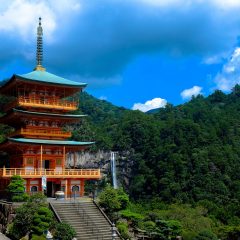 Japan Travel Guide: Everything You Need To Know