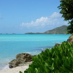 Antigua Unveiled: Your Definitive Guide to Caribbean Bliss