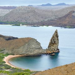 Guayaquil Unveiled: Your Gateway to Galapagos Adventure Begins Here
