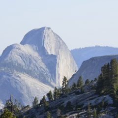 Unmisasable Things To Do In Gold Country – A Travel Guide To Tuolumne County, California