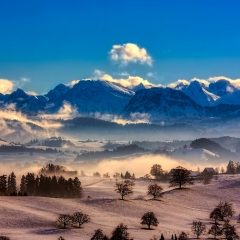 Timeless Elegance Unveiled: Exploring the Horological Heritage of Geneva, Biel, and La Chaux-De-Fonds