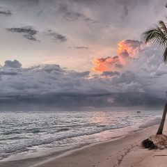 Navigating Summer Bliss: A Holistic Guide to Ensuring Safe and Healthy Travels