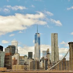 Navigating the Big Apple Bliss: Unveiling New York City’s Family-Friendly Marvels and Must-Visit Gems