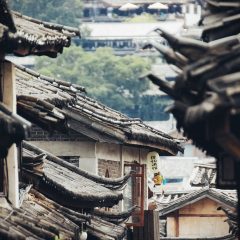 Navigating China’s Wonders: Insider Tips and Must-Visit Destinations for 2024