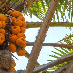 Nigeria Unveiled: A Comprehensive Travel Guide to the Heart of West Africa