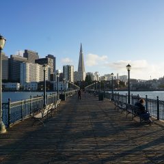 Savoring the Golden Gate: A Comprehensive San Francisco Travel Handbook