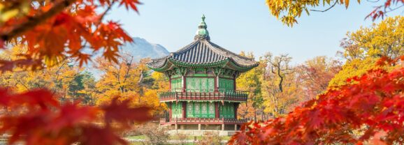Your Essential Guide to Traveling in Korea: Insider Tips for Your Korean Adventure