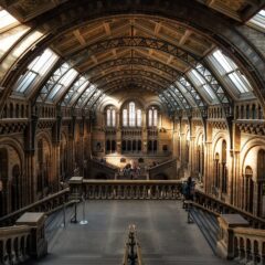 A Comprehensive Handbook for Traveling Across the United Kingdom