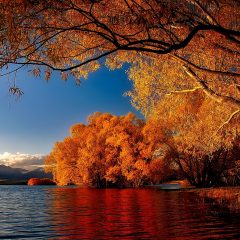 Navigating Aotearoa: Essential Travel Tips for an Unforgettable New Zealand Adventure