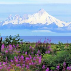 Explore Alaska’s Charm: Discover the Top 9 Small Towns and Experience Ecstasy