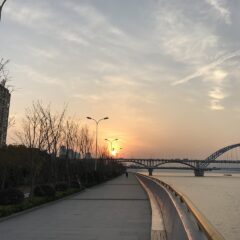 Unveiling Hangzhou: A Comprehensive Travel Handbook