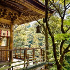 Exploring the Land of the Rising Sun: Your Ultimate Japan Travel Companion