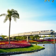 Unveiling Orlando: Your Comprehensive Travel Companion to the Theme Park Capital