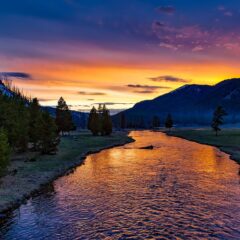 Unveiling Jackson, Wyoming: Your Comprehensive Travel Companion to the Wild West