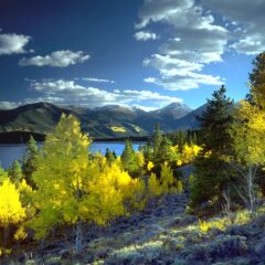 Unveiling Aspen’s Summer Splendor: A Comprehensive Travel Guide