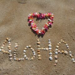 Immersive Aloha: A Guide to Experiencing Authentic Hawaiian Hospitality Through Homestays