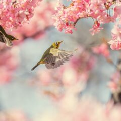 April Adventures: Exploring Exceptional Destinations for Spring Travel