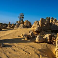 Perth Adventures: Uncovering the Top Four Must-Do Experiences in Western Australia’s Capital