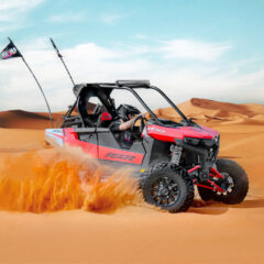 How to Choose the Best Desert Safari in Dubai