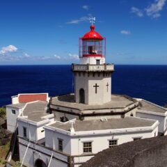 Das Island Oasis: Discovering the Hidden Gems of the Arabian Gulf