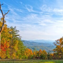 Making Memories in Pigeon Forge: Insider Tips for an Unforgettable Tennessee Getaway