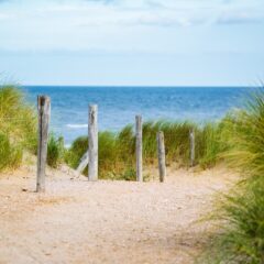 The Art of Harmonious Family Travel: Unlocking the Secrets to Stress-Free Vacations