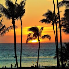 How to Travel to Hawaii: Top Places to See and Things to Do