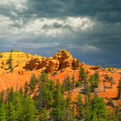 Exploring Zion: Unveiling the Top Accommodations in and Around the National Park