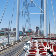 Jo’burg Unveiled: A Local’s Insightful Guide to Johannesburg
